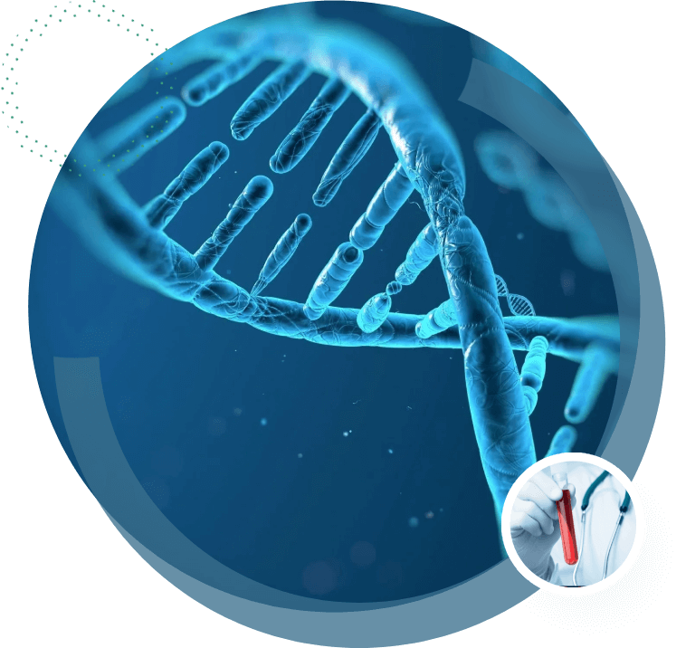 Dna strand